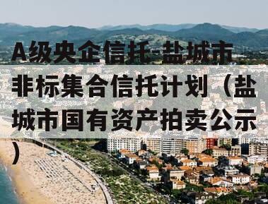 A级央企信托-盐城市非标集合信托计划（盐城市国有资产拍卖公示）