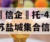 央‮信企‬托-42号江苏盐城集合信托