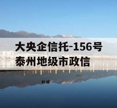 大央企信托-156号泰州地级市政信