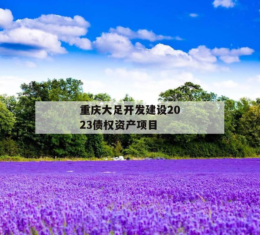 重庆大足开发建设2023债权资产项目