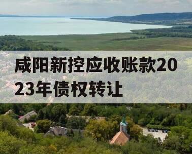 咸阳新控应收账款2023年债权转让