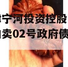 天津宁河投资控股的债权拍卖02号政府债定融