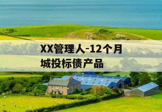 XX管理人-12个月城投标债产品 XX管理人-12个月城投标债产品