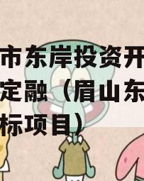 眉山市东岸投资开发政府债定融（眉山东岸公司放标项目）
