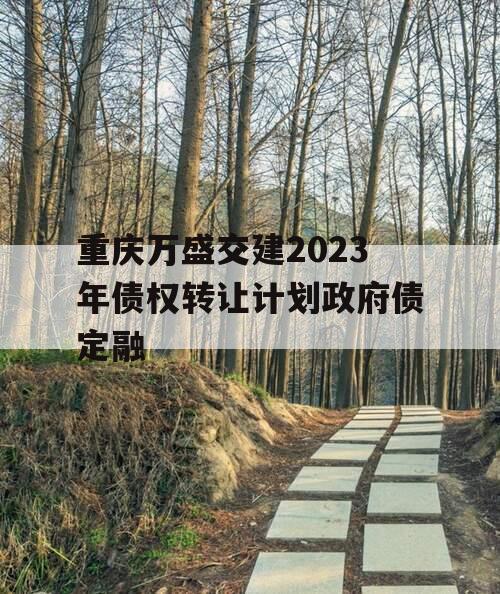 重庆万盛交建2023年债权转让计划政府债定融