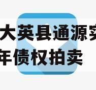 四川大英县通源实业2023年债权拍卖
