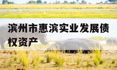 滨州市惠滨实业发展债权资产