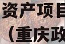 重庆DZKFJS2023债权资产项目政府债定融（重庆政府债券发行总量）