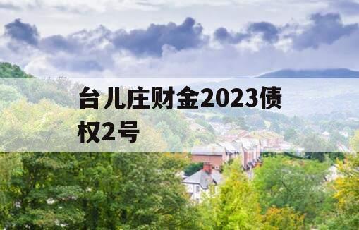 台儿庄财金2023债权2号 台儿庄财金2023债权2号