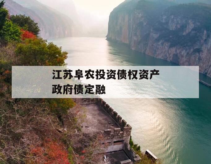 江苏阜农投资债权资产政府债定融 江苏阜农投资债权资产政府债定融
