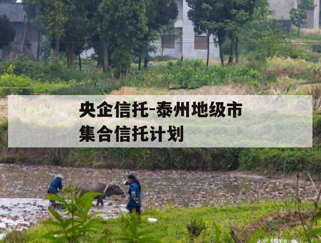 央企信托-泰州地级市集合信托计划