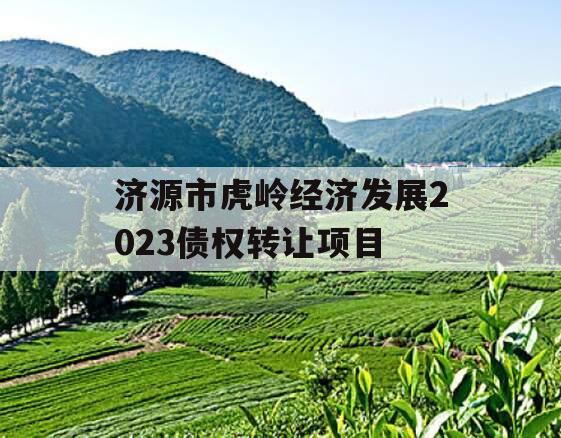 济源市虎岭经济发展2023债权转让项目