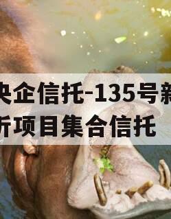 央企信托-135号新沂项目集合信托