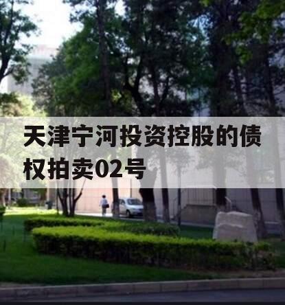 天津宁河投资控股的债权拍卖02号