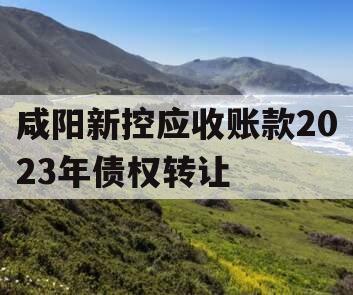 咸阳新控应收账款2023年债权转让