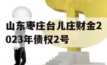 山东枣庄台儿庄财金2023年债权2号