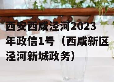 西安西咸泾河2023年政信1号（西咸新区泾河新城政务）