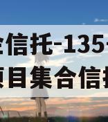 央企信托-135号新沂项目集合信托