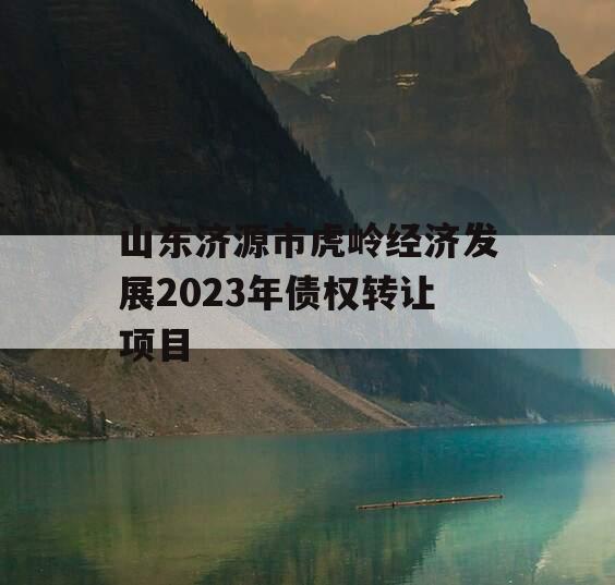 山东济源市虎岭经济发展2023年债权转让项目