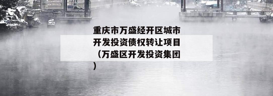 重庆市万盛经开区城市开发投资债权转让项目（万盛区开发投资集团）