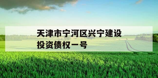 天津市宁河区兴宁建设投资债权一号