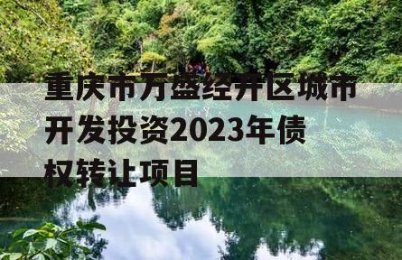 重庆市万盛经开区城市开发投资2023年债权转让项目