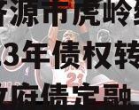 山东济源市虎岭经济发展2023年债权转让项目政府债定融