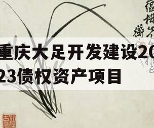 重庆大足开发建设2023债权资产项目