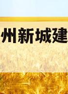 天津蓟州新城建设投资债权