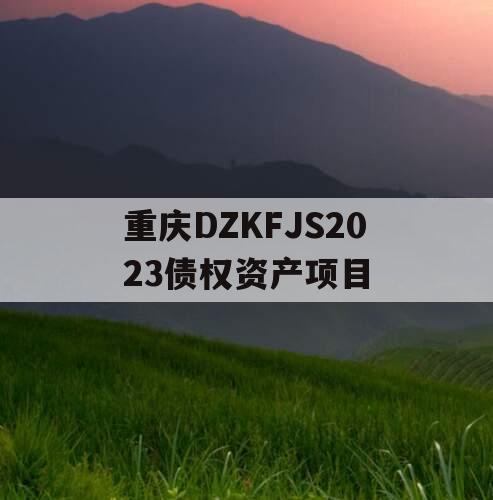 重庆DZKFJS2023债权资产项目