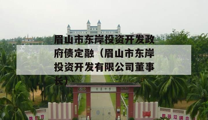 眉山市东岸投资开发政府债定融（眉山市东岸投资开发有限公司董事长）