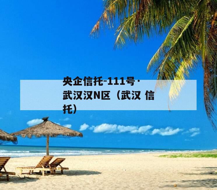 央企信托-111号·武汉汉N区（武汉 信托）
