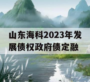 山东海科2023年发展债权政府债定融