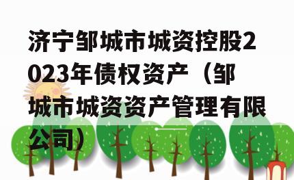济宁邹城市城资控股2023年债权资产（邹城市城资资产管理有限公司）