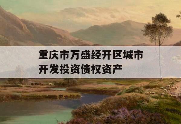 重庆市万盛经开区城市开发投资债权资产