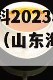 山东海科2023年发展债权（山东海科集团）