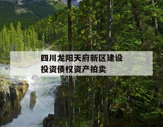 四川龙阳天府新区建设投资债权资产拍卖