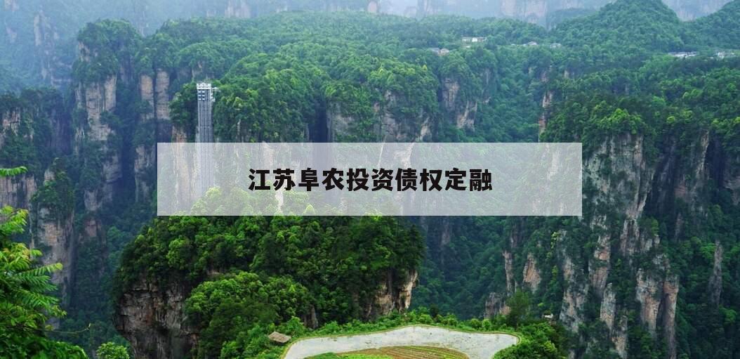 江苏阜农投资债权定融