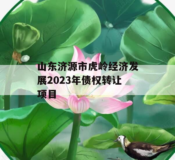 山东济源市虎岭经济发展2023年债权转让项目