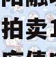 四川简阳融城2023年债权拍卖17-22项目政府债定融