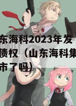 山东海科2023年发展债权（山东海科集团上市了吗）