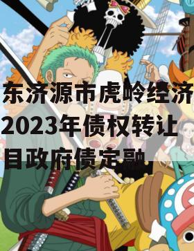 山东济源市虎岭经济发展2023年债权转让项目政府债定融