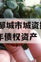 山东邹城市城资控股2023年债权资产