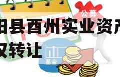 酉阳县酉州实业资产收益权转让 酉阳县酉州实业资产收益权转让