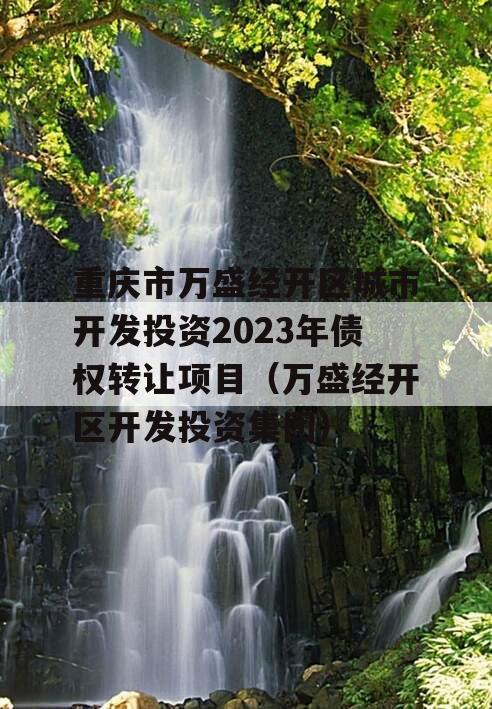 重庆市万盛经开区城市开发投资2023年债权转让项目（万盛经开区开发投资集团）