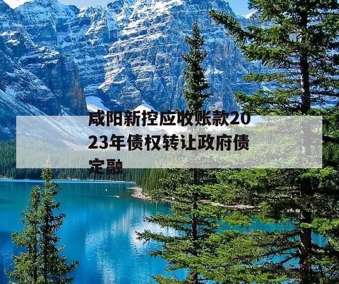 咸阳新控应收账款2023年债权转让政府债定融