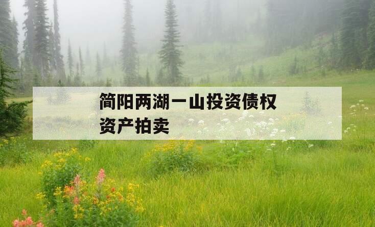 简阳两湖一山投资债权资产拍卖