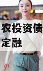 江苏阜农投资债权资产政府债定融