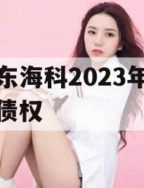 山东海科2023年发展债权 山东海科2023年发展债权