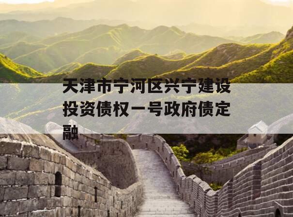 天津市宁河区兴宁建设投资债权一号政府债定融